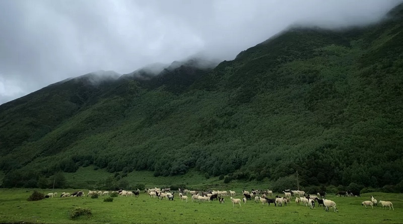 如何選擇適合自己的研學(xué)旅行及選擇研學(xué)機(jī)構(gòu)的標(biāo)準(zhǔn)是什么？