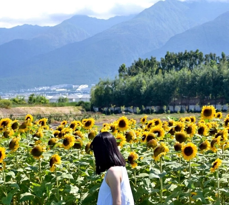 研學(xué)旅行課程設(shè)計的幾大分類，我們必須要知道