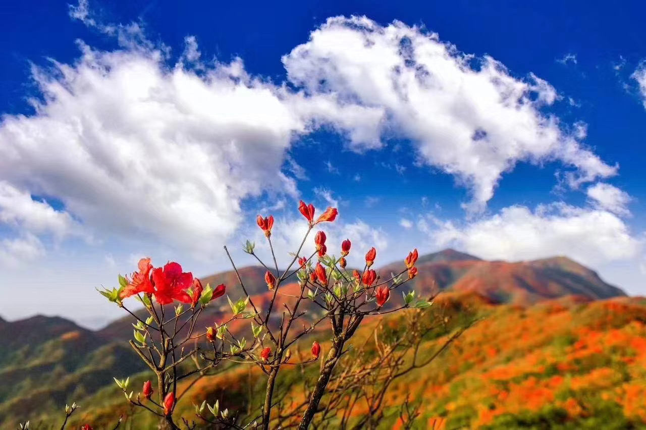 快！暑假夏令營(yíng)要去云南大理啦