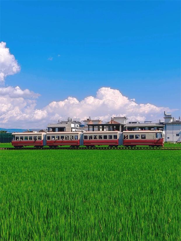大理旅游,大理旅行社,大理團(tuán)建公司,大理策劃公司,大理會(huì)議會(huì)展,云南旅游,云南旅行社,云南團(tuán)建公司,云南策劃公司,云南會(huì)議會(huì)展：坐上喜洲稻田小火車(chē)，一秒進(jìn)入動(dòng)漫畫(huà)卷
